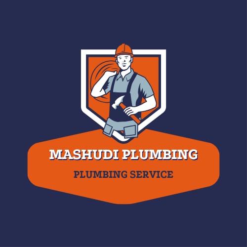 Professional Plumber